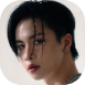 jungt1.png