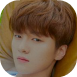 Junho 4.png
