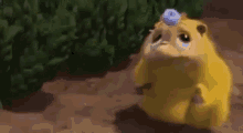 katy-horton.gif