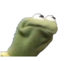 kermitwhat.png