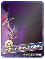 Key Purple King (ani07) 2.png