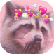 kinnie koon.png