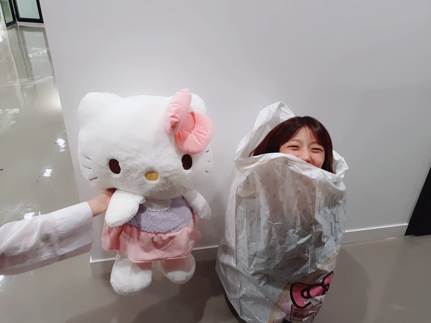 kitty bag.jpg