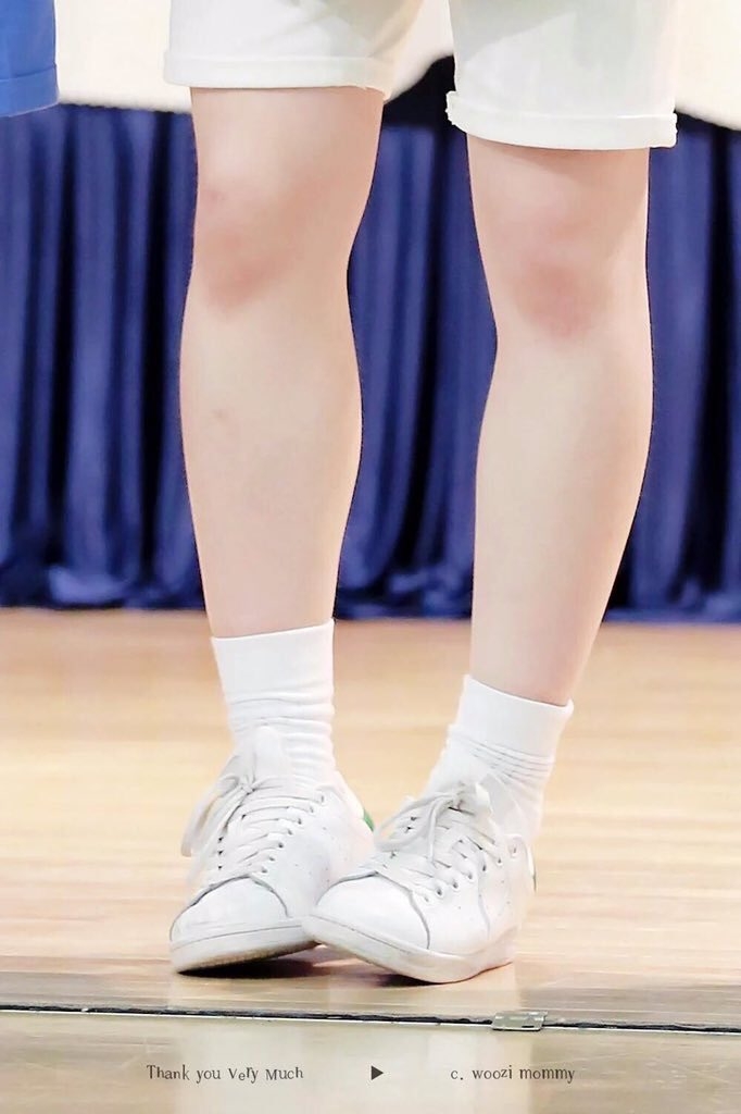 legs.jpg