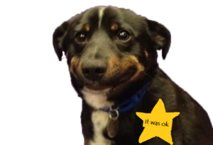 lol.png