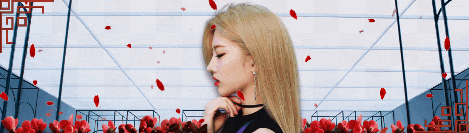 loona banner (1).gif