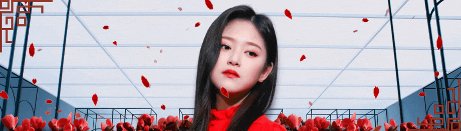 loona banner (2).gif