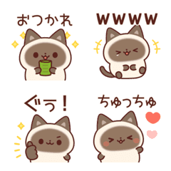 main.png
