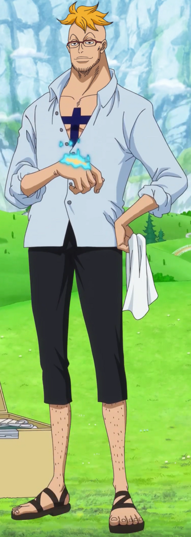 Marco_Anime_Post_Timeskip_Infobox.png