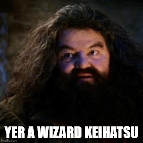 meme.jpg