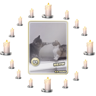 Meow.png