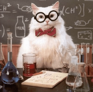meowstein.PNG