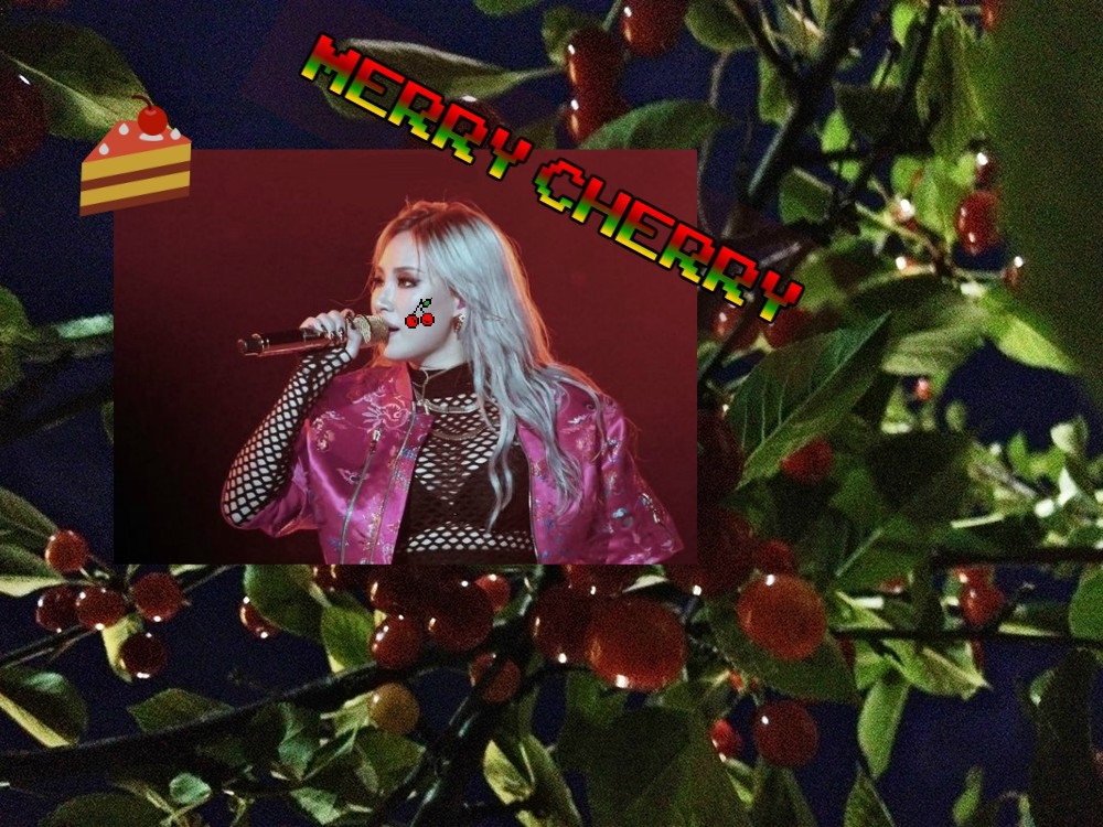 midnight-cherries-2825a.jpg