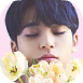 mingyu2.png