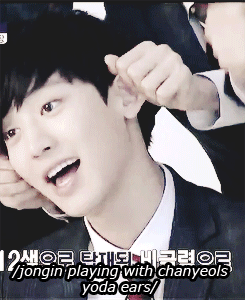 more ears.gif