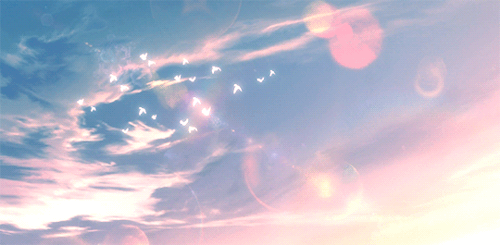 MV Collage Image 04.gif