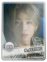 nflying dongsung.png