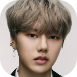 nine.i vari.png
