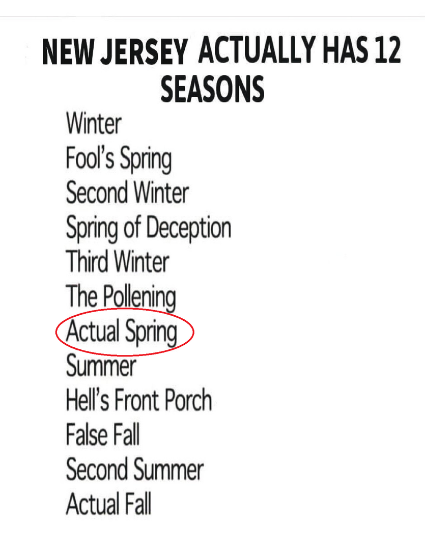 NJ Weather.png