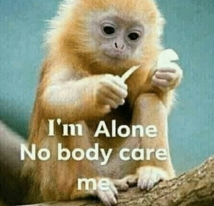 nobody care me.png