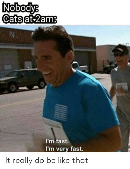 nobodya-catsat-2am-im-fast-im-very-fast-it-really-43629273.png
