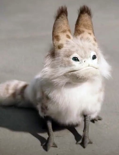 oar2.jpg