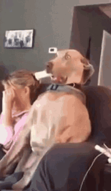 omg-what.gif