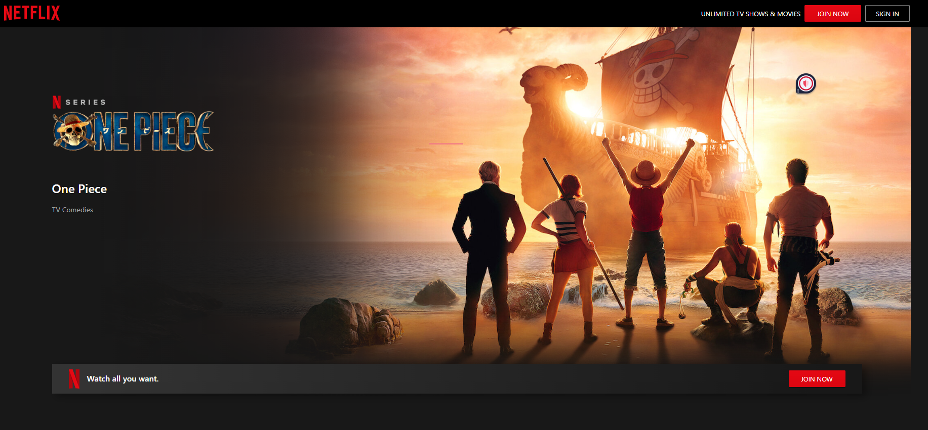 Onepiece.png