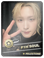 P1H Soul 2.png