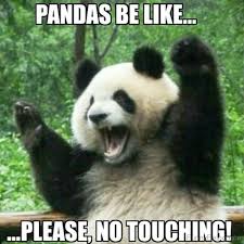 panda.jpg