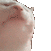 Partycat.gif