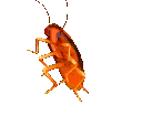 partyroach.gif