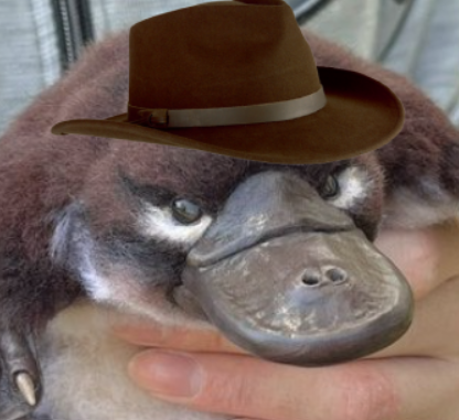 perry-live-action.png
