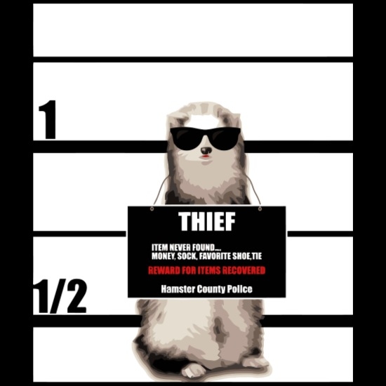 pet-ferret-tee-funny-ferret-thief-mugshot-gift-mens-tall-t-shirt.jpg