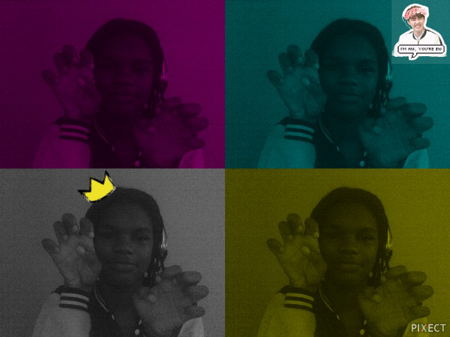 PIXECT-20201001104301.png