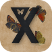 pixy (3) (1).png