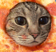 PizzaCat.png