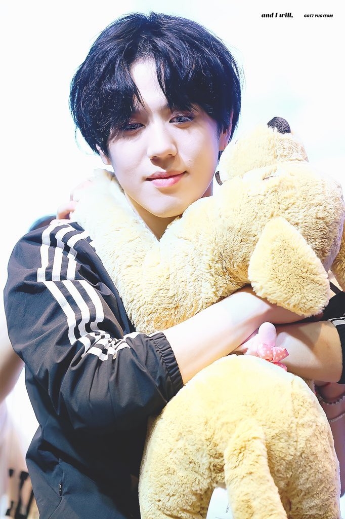 puppygyeom.jpeg