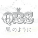 QBS3.png