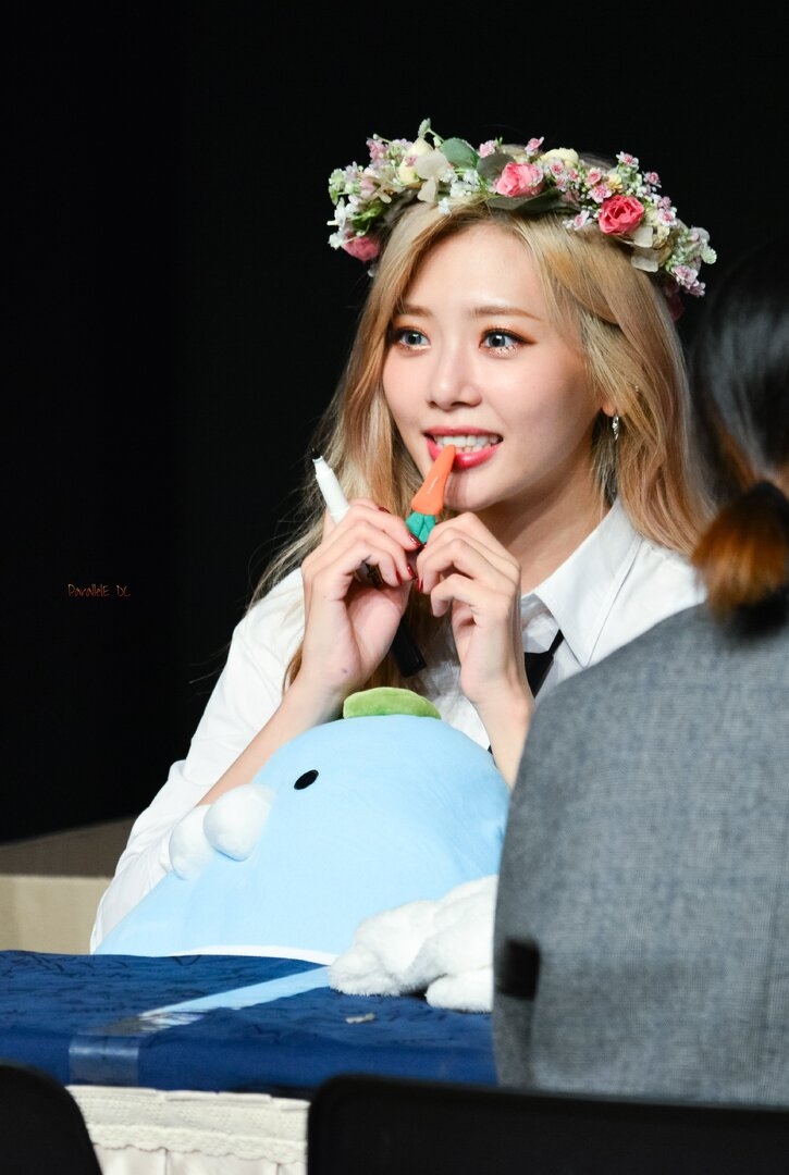 qgl8xo56ehk71.jpg