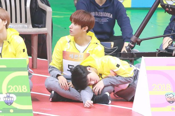 42805