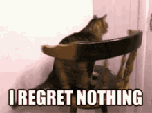 regret-cat.gif
