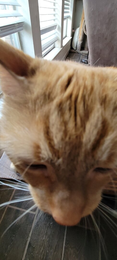 Resized_20230909_151104.jpeg