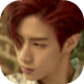 rooster6.png