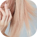 Rose 1.2 Test.png