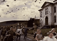 running-away-birds.gif