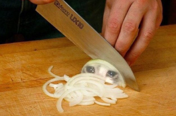 sad cat cutting onions.png