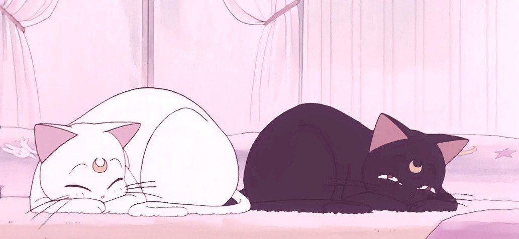 sailor moon.jpg