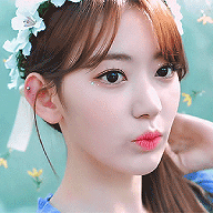 Sakura dp (2).gif
