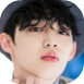 scoups2.png